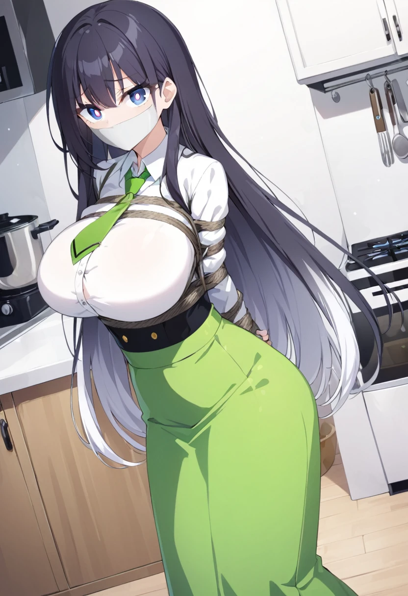 score_9, score_8_up, source_anime, 1girl, solo, blue eyes, long hair, black hair, colored tips, white hair, high-waist skirt, long skirt, green skirt, white shirt, long sleeves, green necktie,, standing, indoors,house kitchen, (bound with an excessive amount of ropes), (bound wirsts), (arms behind back), (tapegag, tape gag), dramatic,  (looking at viewer), (detailed pupils:1.3),pencil skirt,big breast 