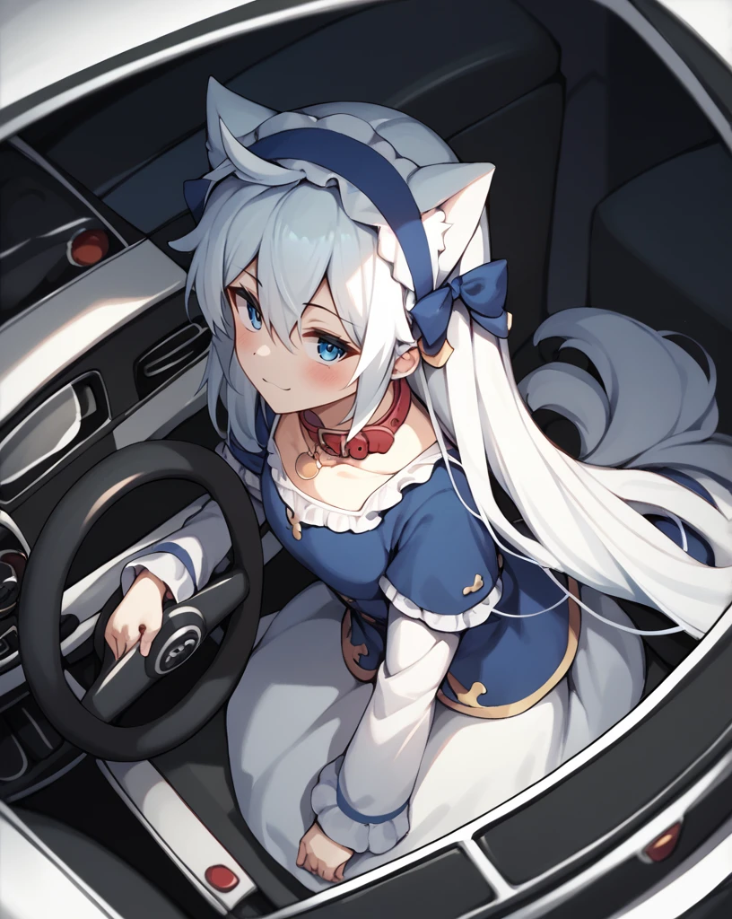 score_9, score_8_above, score_7_above,
eris,1 girl,Alone,Blue eyes,by white,hair between the eyes, very long hair,He drowned, clavicle, steering wheels, only,long sleeves,dress,Wearing a dog collar 