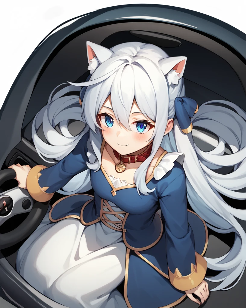 score_9, score_8_above, score_7_above,
eris,1 girl,Alone,Blue eyes,by white,hair between the eyes, very long hair,He drowned, clavicle, steering wheels, only,long sleeves,dress,Wearing a dog collar 