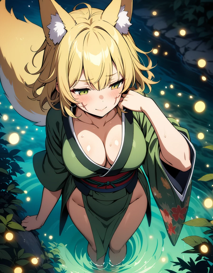 (masterpiece,best quality,very aesthetic,ultra-detailed),(illustration,official art),nsfw,solo,BREAK,1girl,30yo,curvy,large breasts,tall,stout build,bewitching,(blonde fox ears),(a fox tail),(blonde hair,short hair,messy hair),disheveled hair,(brown foxy eyes),half closed eyes,beautiful face,comfortable,calming,(smirk:0.7),Fantastic atmosphere,evening,Night sky,Fireflies glowed and flew along a riverbank in Japan, depicting the trajectory of their flight,(flower print dark green kimono,pelvic curtain),(scar on breasts,scar on cheek:1.2),standing,hand on cheek,looking away,BREAK,forest,river beach,aerial shot,from above