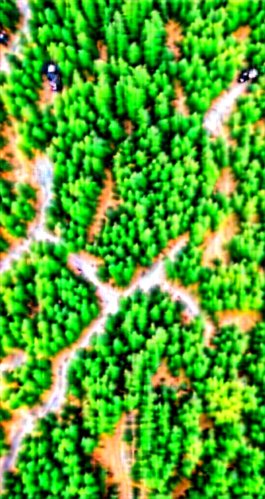 (Best quality:1.4),(Best result:1.4),(Super clear picture quality:1.4),(Super clear detail:1.2),bird's-eye view of a road passing through a forest,summer forest,straight road,Trucks driving on the road,overlook,bird's-eye view,Bird&#39;s eye view of forest and trees, above the forest, Fly over tropical forests, Lush trees, lush Green Forest, Dense forests, Green Trees, Dense forest in valley below, Lush green deep forest, Dense forest, Green Forest, Dense forest landscape, lush everGreen Forest, aerial view top down, Shooting from above