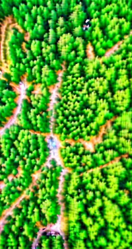 (Best quality:1.4),(Best result:1.4),(Super clear picture quality:1.4),(Super clear detail:1.2),bird's-eye view of a road passing through a forest,summer forest,straight road,Trucks driving on the road,overlook,bird's-eye view,Bird&#39;s eye view of forest and trees, above the forest, Fly over tropical forests, Lush trees, lush Green Forest, Dense forests, Green Trees, Dense forest in valley below, Lush green deep forest, Dense forest, Green Forest, Dense forest landscape, lush everGreen Forest, aerial view top down, Shooting from above