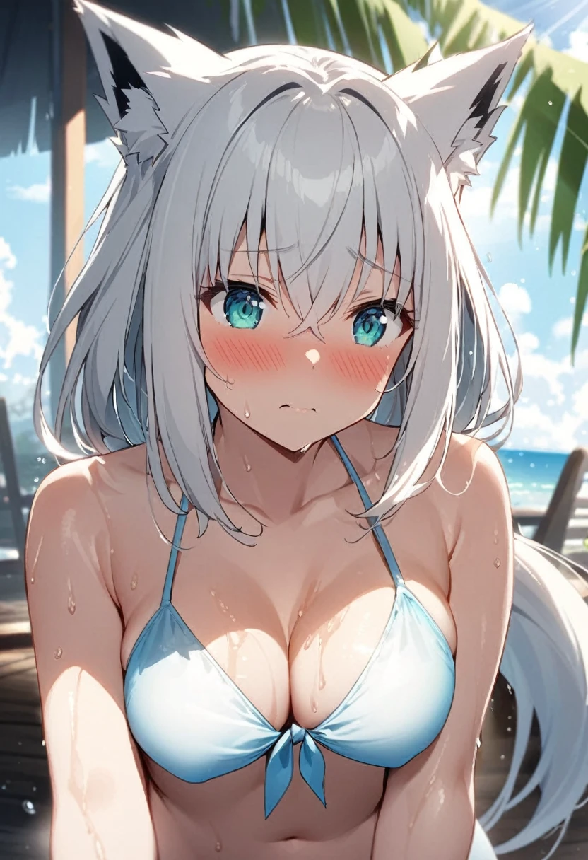 One girl、One Scene、one-shot、Only one person、View here、Shirakami Fubuki、Kemomimi、White Hair、Touching the chest、Chest fluttering、Swimwear、bikini、Embarrassed、lit by sunlight、Get wet、透けるSwimwear、スケスケのSwimwear、Sandy Beach、Being pushed down、Falling on one's back、