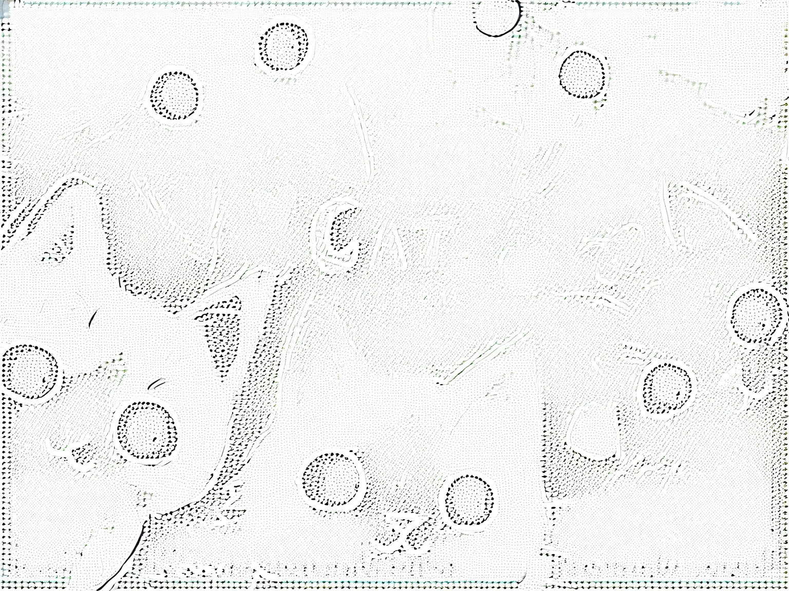 there are many Cats that are all different colors and sizes, cute Cats, anime visual of a cute Cat, Catss, Cats, cute cartoon, Lovely artwork, cute 小Cats, Cat, Hand drawn cartoon art style, Cute illustrations, Cute digital art, cute Cat, 小Cat, Cat design, CatsCatsCats, kawaii Cat, 小Cats, !!! Cat!!!, !!!! Cat!!!!