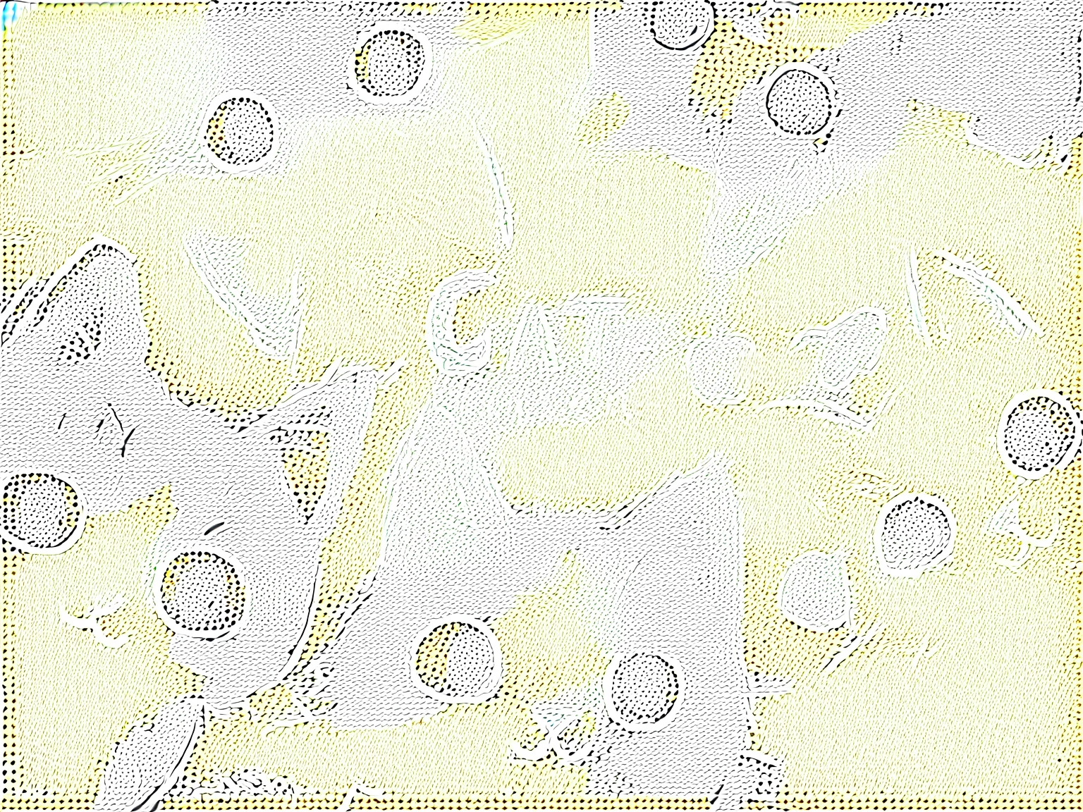there are many Cats that are all different colors and sizes, cute Cats, anime visual of a cute Cat, Catss, Cats, cute cartoon, Lovely artwork, cute 小Cats, Cat, Hand drawn cartoon art style, Cute illustrations, Cute digital art, cute Cat, 小Cat, Cat design, CatsCatsCats, kawaii Cat, 小Cats, !!! Cat!!!, !!!! Cat!!!!