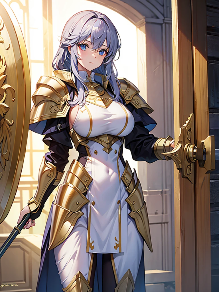 Paladin,beautiful breasts,holding shield, high Quality,best quality