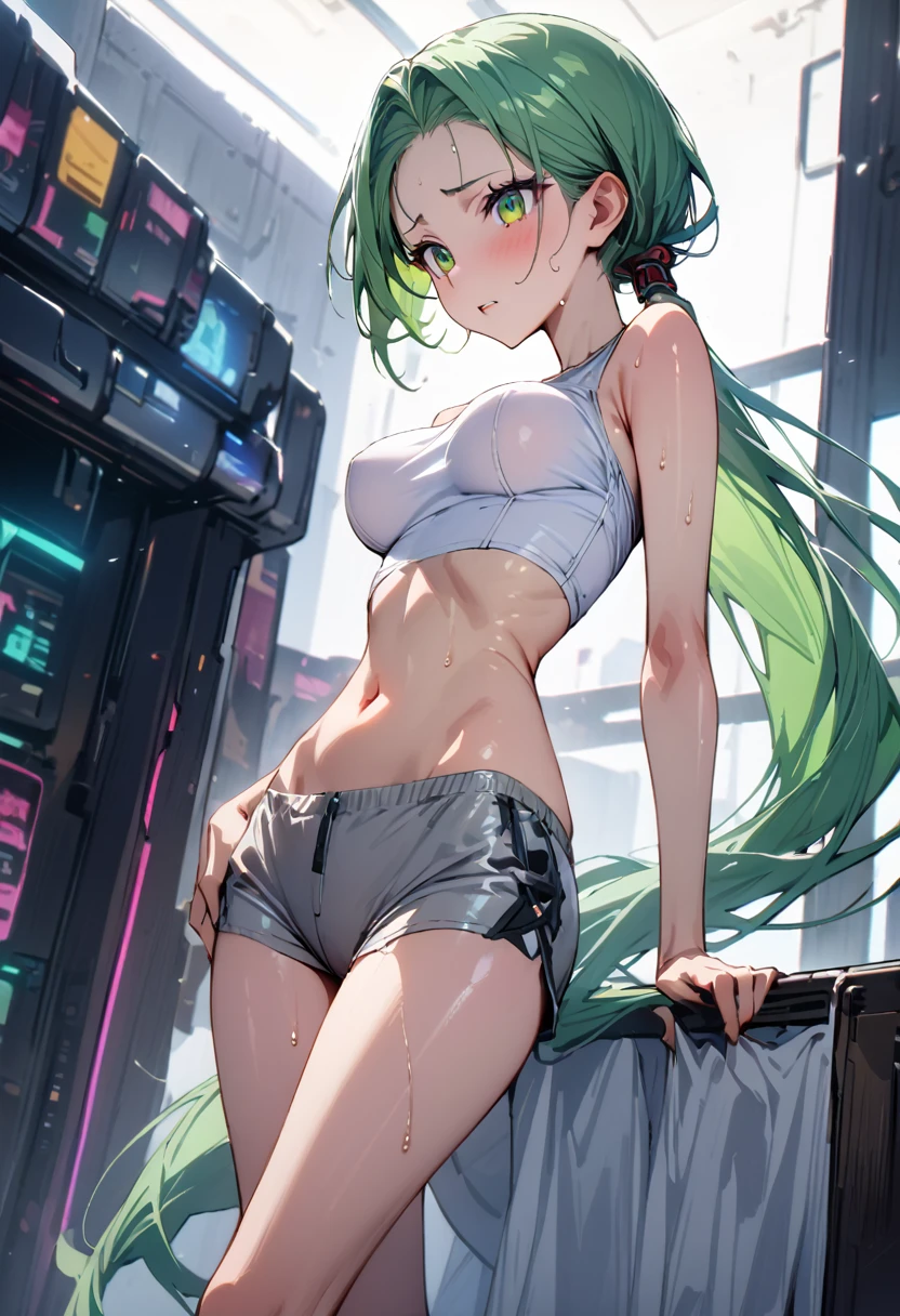 ((masterpiece,Highest quality:1.3)),1woman,30 year old beauty,独奏,((very small head:1.3)),green hair,low ponytail hair,long hair,bangs,green eyes,gorgeous eyes,shy,medium breasts,((very long body:1.2)),((toned body,slender body,skinny)),gleaming skin,shiny skin,(White tight T-shirt、navel、Grey wet shorts)、barefoot、standing,Simple bedroom、cyber punk、World of Blade Runner、