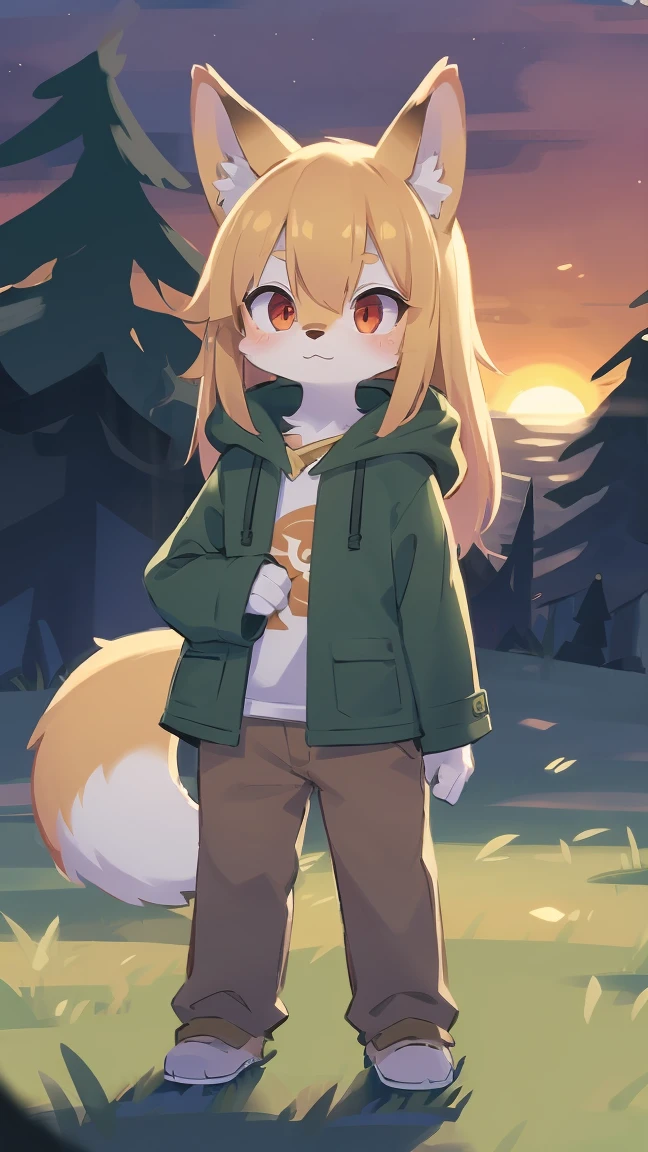 shota the fox, , was hairy, shaggy, skin fur, smooth lashes, golden fur, forelimb hands, straight long blonde hair, solid circle eyes, golden ears, golden fur, golden facial fur, shiny hair, red eyes, super cute face, 1fox tail, fluffy tail, furry tail, glowing eyes, green coat green hood down, brown trousers, standing, ambient light, ultra-fine fur, dashed eyes, full body, masterpiece, high quality, high-details, best quality, wide short, (((solo))), twilight, sun light, red sky, rim light
