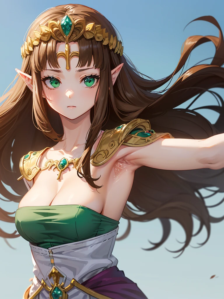 ((((Very beautiful mature woman)))),((((Exposed breasts))))),((Expressionless)),((((Show your armpits)))),((((One woman is shown)))),((side angle)),((upper body)),((Very beautiful jewel-like eyes)),,(((非常にBeautiful Face))))Anime art style,masterpiece,(Highest quality), (超detailedな顔),(Very delicate and beautiful),((((My hair is blowing in the wind)))),,(A truly gorgeous jeweled ruffled rococo ball gown dress),(((((Mature Woman,Queen))))),((topless)),((crinoline)),,((Long Straight Hair)),,Cleavage,(Outdoor),length_gloves,Very gorgeous hair accessory,()))),()),()))),(((No background)))),((((Beautiful Face)))),(((()))),()),(((Long Hair)))),((((Straight hair)))),((Cleavage)),((((Dark brown hair)))),Princess Zelda,(()), ((Highest quality)),,(非常にdetailed) ,((((Green blouse)))),,Brown Hair,((()))), (非常にdetailed),((detailed)),((())),Nintendo, The Legend of Zelda),((alone)), ((Highest quality)), (非常にdetailed), ,