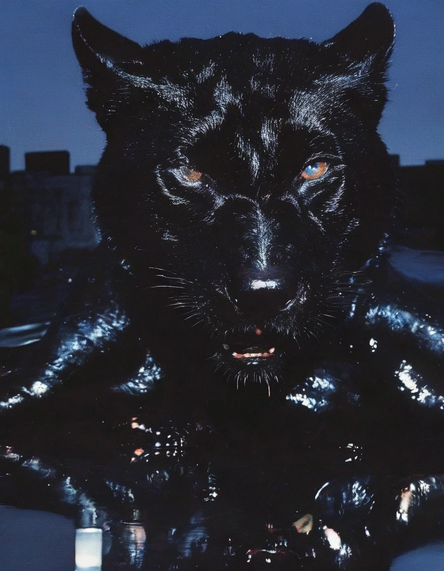butterfly sits on giant black panther on new york street at night