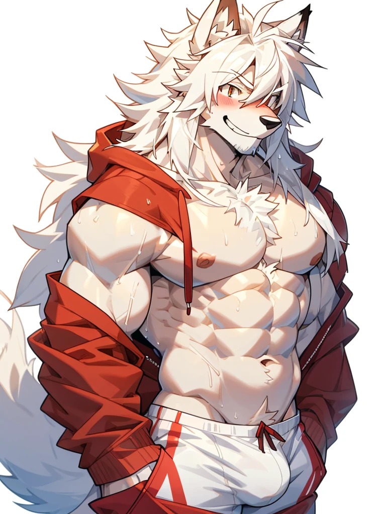 white background, front view, flexing, muscles, pubic hair, muscular, long white hair, navel hair, furry, wolf, long tail, male, sweat, sweating, wearing boxer briefs, wearing red hoodie(shirtless, hoodie, open hoodie, handsome), looking at viewer, smiling, blushing, cool, hadsome