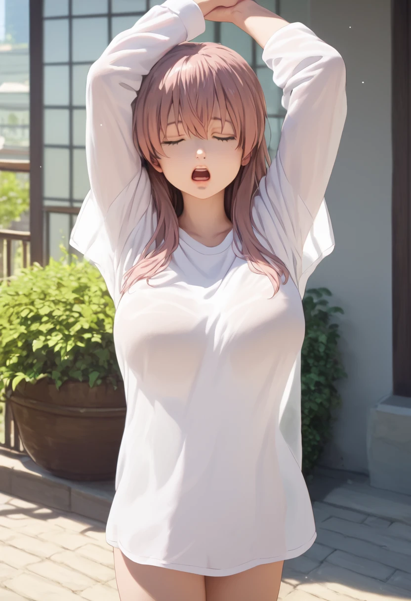 score_9,score_8_up,score_7_up,masterpiece,best quality, source anime, photorealistic, hyperrealistic, 8k,photo,raw,super detailed, extreme detailed, rating_explicit,
1girl, standing, (arms up, Stretching), Yawning, covering mouth, cowboy shot,
BREAK girl, shouko nishimiya, 18yo, long hair, pink brown hair, bangs between eyes, brown eyes, (large breasts:0.9),
shiny hair, beautiful detailed eyes, beautiful face,
white long shirt, (see through:1.1), oversized clothes, (zettai ryouiki:1.4), bare thighs,
sleepy, (closed eyes:1.2), wide open mouth,
outdoors, Apartment balcony, morning, sunlight,