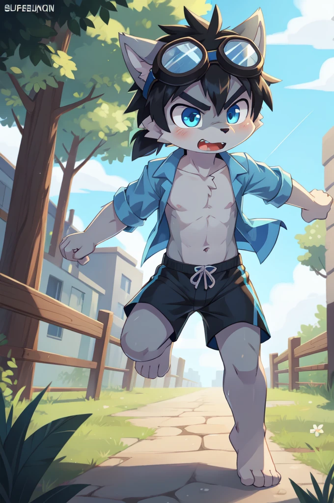 score_9,score_8_up,score_7_up, source_cartoon, source_furry, Furry shota, young, wolf, black hair, long spiky ponytail, blue eyes, detailed body fur, ((goggles, blue hawaiian shirt, open clothes, one shoulder off, black swim trunks)), looking at another, fangs, clear grey body fur, detailed face, big eyebrows, detailed eyes, detailed body, detailed body fur, detailed hands, glistering body, shiny body, skinny, uperbody, solo, skinny, running, feet towards viewer, angry expression, glowing blue eyes, outdoors, from above, fight, dynamic action shot, speed lines, motion blur, Birds Eye view, fight, Kick, feet focus, barefoot,