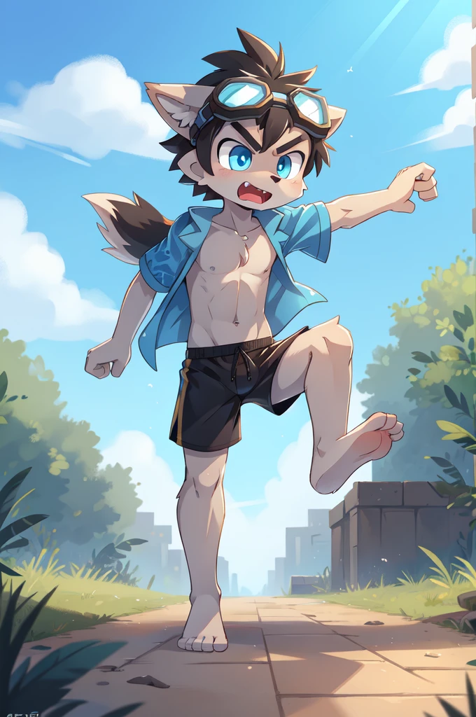 score_9,score_8_up,score_7_up, source_cartoon, source_furry, Furry shota, young, wolf, black hair, long spiky ponytail, blue eyes, detailed body fur, ((goggles, blue hawaiian shirt, open clothes, one shoulder off, black swim trunks)), looking at another, fangs, clear grey body fur, detailed face, big eyebrows, detailed eyes, detailed body, detailed body fur, detailed hands, glistering body, shiny body, skinny, uperbody, solo, skinny, running, kick towards viewer, angry expression, glowing blue eyes, outdoors, from above, fight, dynamic action shot, speed lines, motion blur, Birds Eye view, fighter pose, feet focus, barefoot,
