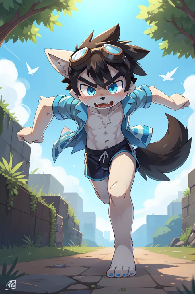 score_9,score_8_up,score_7_up, source_cartoon, source_furry, Furry shota, young, wolf, black hair, long spiky ponytail, blue eyes, detailed body fur, ((goggles, blue hawaiian shirt, open clothes, one shoulder off, black swim trunks)), looking at another, fangs, clear grey body fur, detailed face, big eyebrows, detailed eyes, detailed body, detailed body fur, detailed hands, glistering body, shiny body, skinny, uperbody, solo, skinny, running, kick towards viewer, angry expression, glowing blue eyes, outdoors, from above, fight, dynamic action shot, speed lines, motion blur, Birds Eye view, fighter pose, feet focus, barefoot,