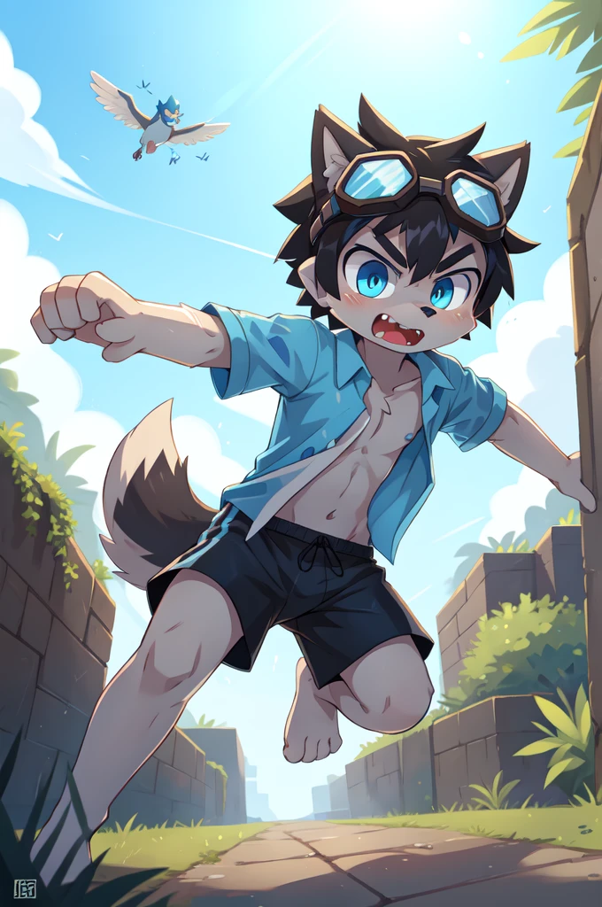 score_9,score_8_up,score_7_up, source_cartoon, source_furry, Furry shota, young, wolf, black hair, long spiky ponytail, blue eyes, detailed body fur, ((goggles, blue hawaiian shirt, open clothes, one shoulder off, black swim trunks)), looking at another, fangs, clear grey body fur, detailed face, big eyebrows, detailed eyes, detailed body, detailed body fur, detailed hands, glistering body, shiny body, skinny, uperbody, solo, skinny, running, kick towards viewer, angry expression, glowing blue eyes, outdoors, from above, fight, dynamic action shot, speed lines, motion blur, Birds Eye view, fighter pose, feet focus, barefoot,