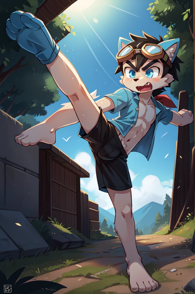 score_9,score_8_up,score_7_up, source_cartoon, source_furry, Furry shota, young, wolf, black hair, long spiky ponytail, blue eyes, detailed body fur, ((goggles, blue hawaiian shirt, open clothes, one shoulder off, black swim trunks)), looking at another, fangs, clear grey body fur, detailed face, big eyebrows, detailed eyes, detailed body, detailed body fur, detailed hands, glistering body, shiny body, skinny, uperbody, solo, skinny, running, kick towards viewer, angry expression, glowing blue eyes, outdoors, from above, fight, dynamic action shot, speed lines, motion blur, Birds Eye view, fighter pose, feet focus, barefoot, feet with three toes, high kick,