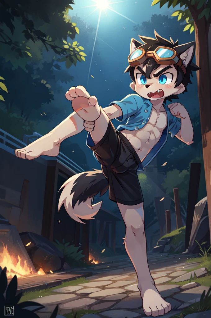 score_9,score_8_up,score_7_up, source_cartoon, source_furry, Furry shota, young, wolf, black hair, long spiky ponytail, blue eyes, detailed body fur, ((goggles, blue hawaiian shirt, open clothes, one shoulder off, black swim trunks)), looking at another, fangs, clear grey body fur, detailed face, big eyebrows, detailed eyes, detailed body, detailed body fur, detailed hands, glistering body, shiny body, skinny, uperbody, solo, skinny, running, kick towards viewer, angry expression, glowing blue eyes, outdoors, from above, fight, dynamic action shot, speed lines, motion blur, Birds Eye view, fighter pose, feet focus, barefoot, feet with three toes, high kick,