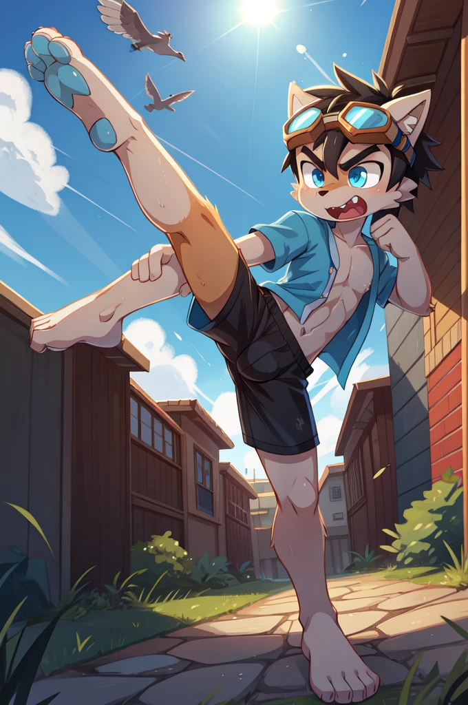 score_9,score_8_up,score_7_up, source_cartoon, source_furry, Furry shota, young, wolf, black hair, long spiky ponytail, blue eyes, detailed body fur, ((goggles, blue hawaiian shirt, open clothes, one shoulder off, black swim trunks)), looking at another, fangs, clear grey body fur, detailed face, big eyebrows, detailed eyes, detailed body, detailed body fur, detailed hands, glistering body, shiny body, skinny, uperbody, solo, skinny, running, kick towards viewer, angry expression, glowing blue eyes, outdoors, from above, fight, dynamic action shot, speed lines, motion blur, Birds Eye view, fighter pose, feet focus, barefoot, feet with three toes, high kick,