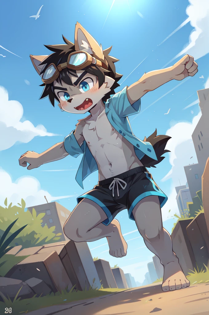 score_9,score_8_up,score_7_up, source_cartoon, source_furry, Furry shota, young, wolf, black hair, long spiky ponytail, blue eyes, detailed body fur, ((goggles, blue hawaiian shirt, open clothes, one shoulder off, black swim trunks)), looking at another, fangs, clear grey body fur, detailed face, big eyebrows, detailed eyes, detailed body, detailed body fur, detailed hands, glistering body, shiny body, skinny, uperbody, solo, skinny, running, kick towards viewer, angry expression, glowing blue eyes, outdoors, from above, fight, dynamic action shot, speed lines, motion blur, Birds Eye view, fighter pose, feet focus, barefoot,