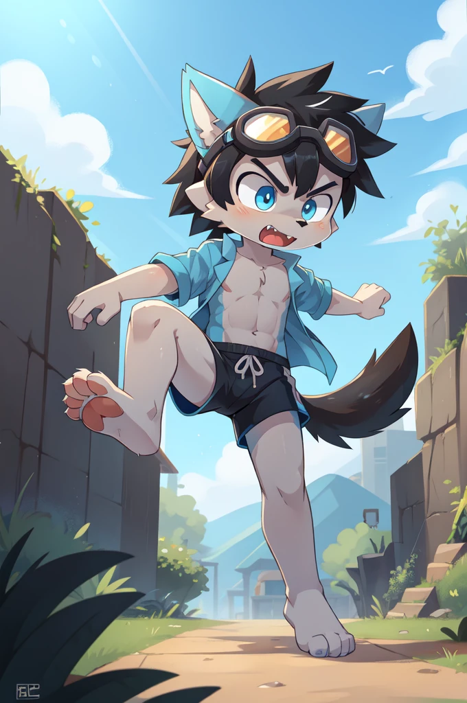 score_9,score_8_up,score_7_up, source_cartoon, source_furry, Furry shota, young, wolf, black hair, long spiky ponytail, blue eyes, detailed body fur, ((goggles, blue hawaiian shirt, open clothes, one shoulder off, black swim trunks)), looking at another, fangs, clear grey body fur, detailed face, big eyebrows, detailed eyes, detailed body, detailed body fur, detailed hands, glistering body, shiny body, skinny, uperbody, solo, skinny, running, kick towards viewer, angry expression, glowing blue eyes, outdoors, from above, fight, dynamic action shot, speed lines, motion blur, Birds Eye view, fighter pose, feet focus, barefoot, feet with three toes, high kick,
