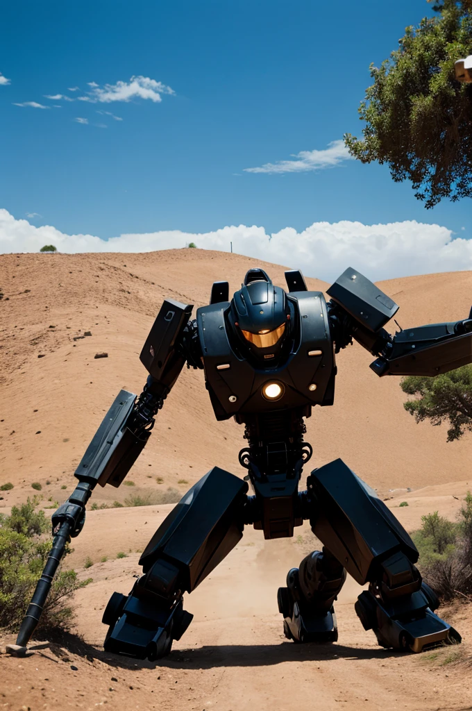 Robots capturing the earth book front cover