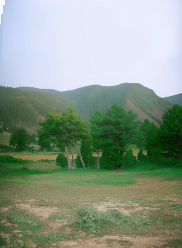 sky, mountain, trees, grass ground, photorealistic, photo real