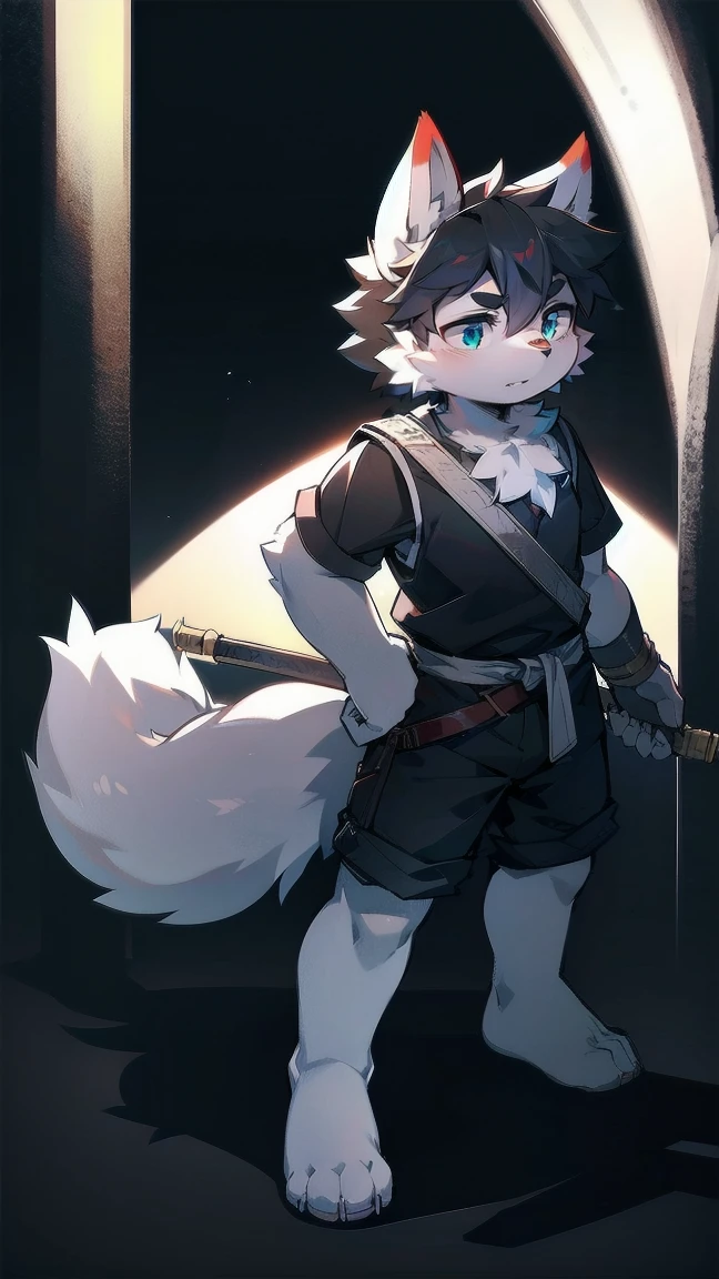 White Wolf，black hair，Sky blue eyes，hairy，Wolf ears，Wolf tail，Full body portrait，The character is in the center of the frame，Handsome，Confident eye***but，juvenile，Black and white combat uniform，Red neck bib，Black shorts，Short sleeve，hairy arms and legs，Dark background，Dark battlefield，dawn，sunrise，dawn，illumination，shadow，Swordsman，Scabbard and Hold the hilt of a in your hand，The scabbard is at the waist，Highest quality,A tall stature