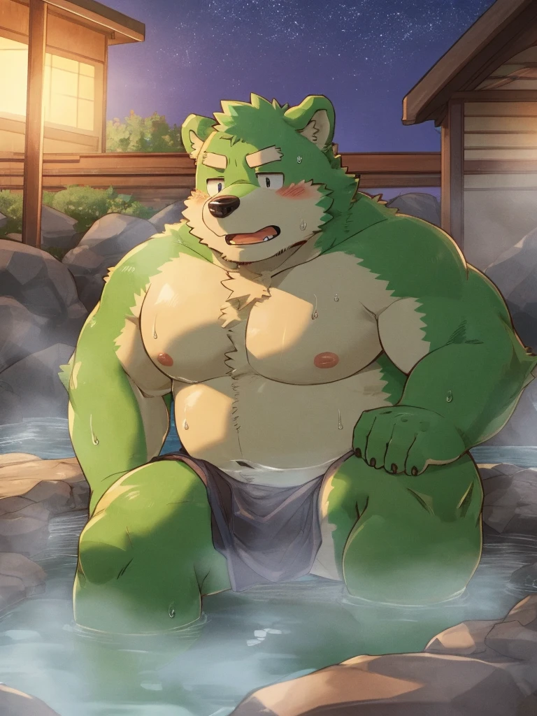 anthro, kemono, male, 2boy, furry, anthro, purple fox and green bear, outdoor hot spring, outdoor bath, sweating, mature, endomorph,