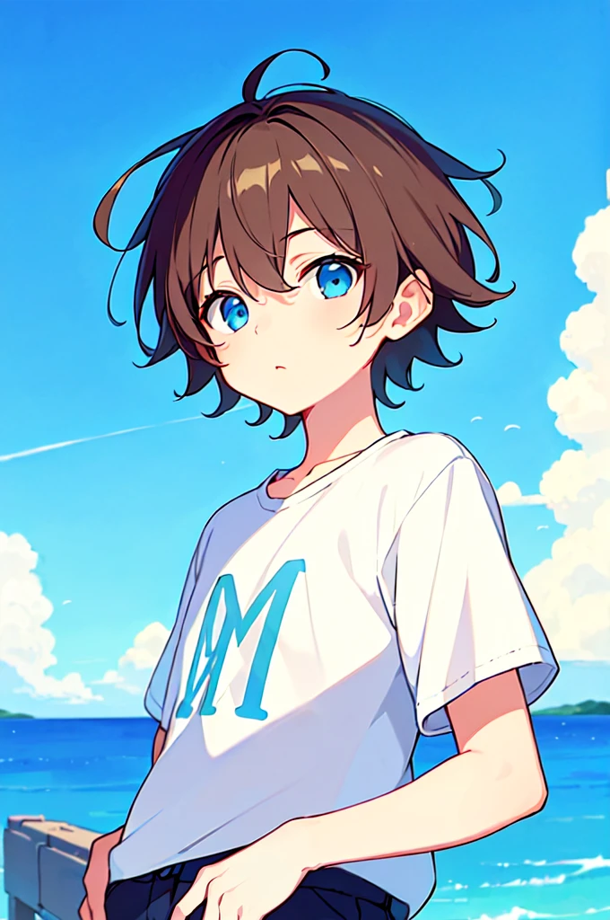 [(BUBBLE BACKGROUND:1.5),::5], (((masterpiece))), high quality, very_high_resolution, large_filesize, full color, Solo, (1  boy), 13 old's short brown hair), vivid color, Blue eye, summer clothes, upper body, anime style