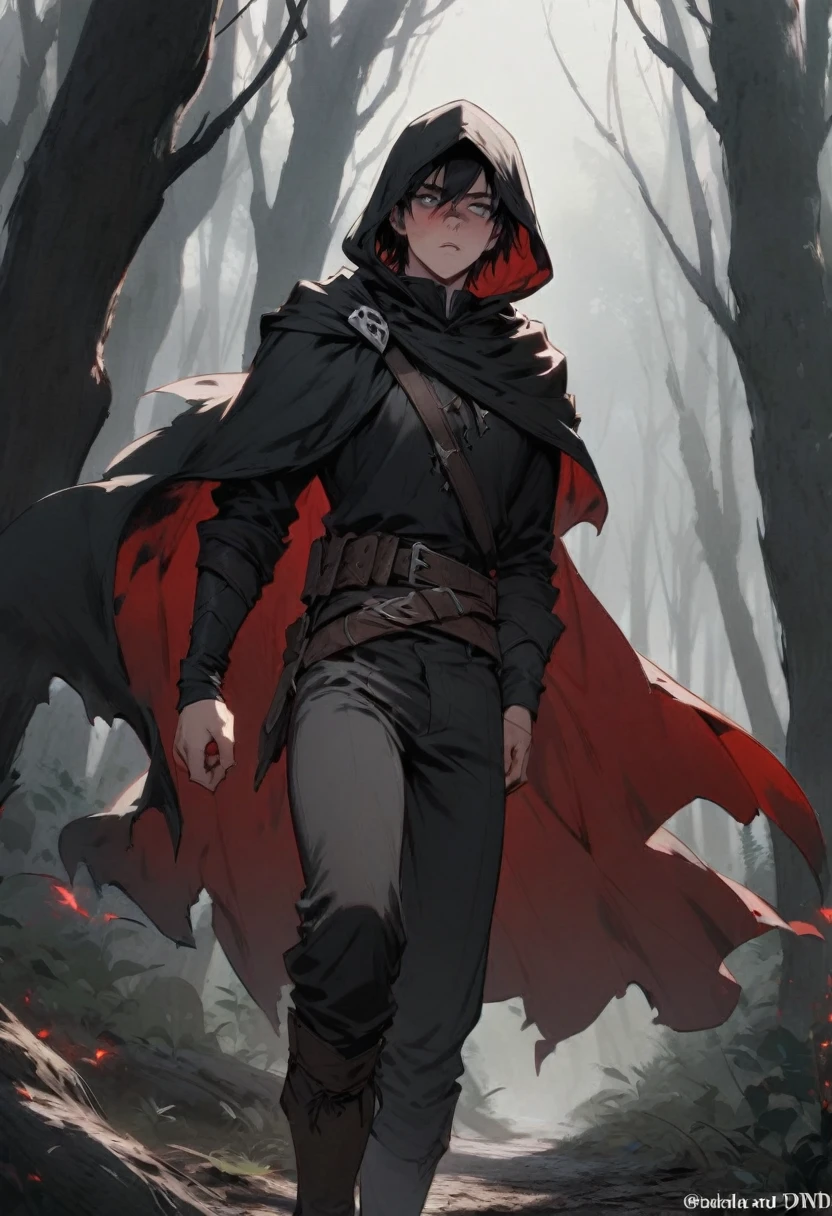 young man ,Male Dark, dark Woods,Red & Black colors, gray eye, rogue dnd, wear cape, hood, have scar
