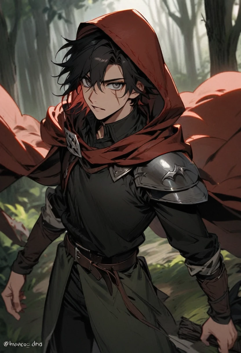 young man ,Male Dark, dark Woods,Red & Black colors, gray eye, rogue dnd, wear cape, hood, have scar