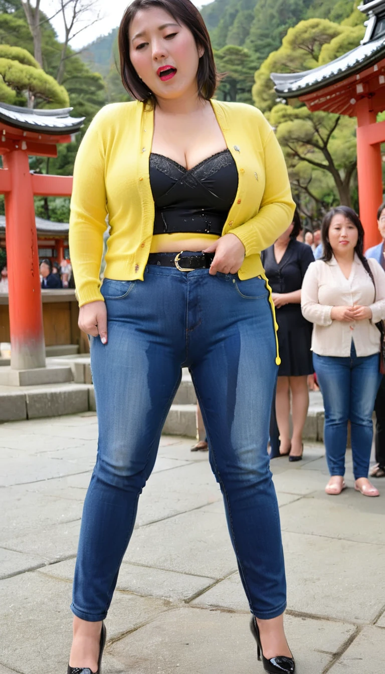 1woman,(masterpiece:1.8),photo-realistic,16k,(beautiful 40s japanese plump lady:1.2),(right yellow cardigan,chiffon blouse:1.6),(jeans:1.5),pumps,belt,(whimpering:1.6),(panicking:1.6),(crying:1.7),(Shinto shrine:1.3),(crowd:1.1),(wetting:1.5),(dripping pee:1.4),long hair,straight hair,black eyes,MILF,curvy,(huge breasts:1.2), makeup,lipstick,eyeliner,mascara,eyeshadow