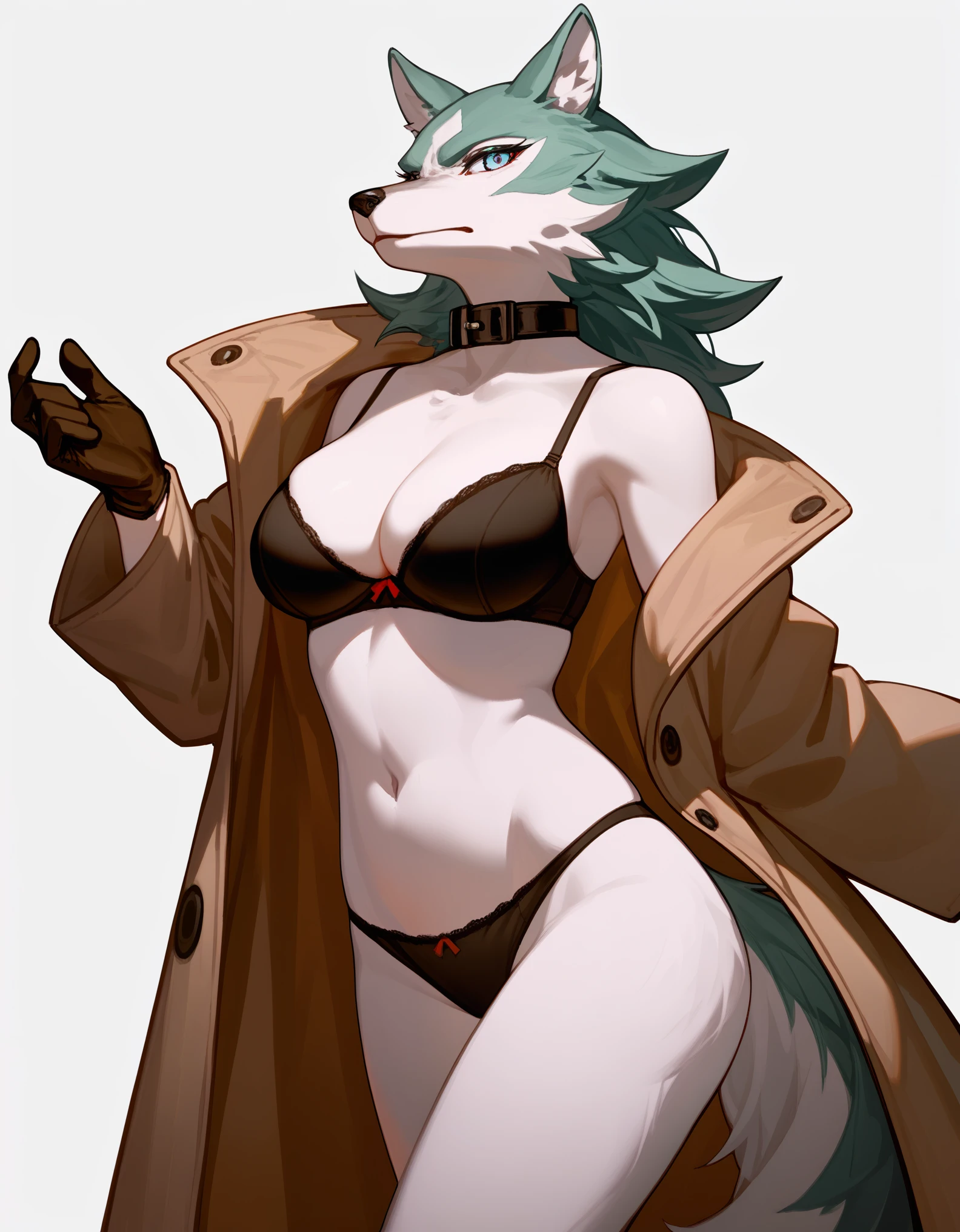 score_9, score_8_up, score_7_up, shirou ogami, female wolf anthro, white furry body, fluffy tail, detailed fur, fluffy body, blue eyes white sclera, trenchcoat, black bra, collar, gloves, black panties, simple white background, 