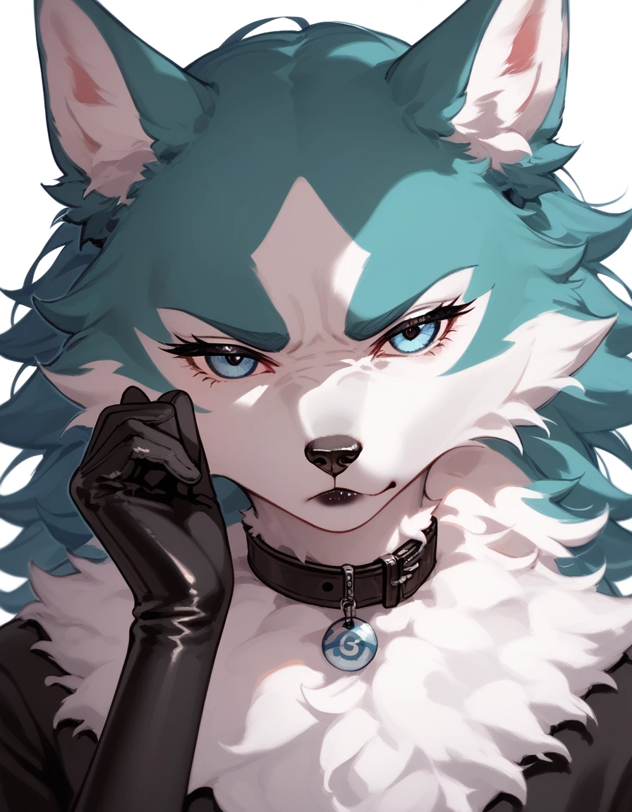 score_9, score_8_up, score_7_up, shirou ogami, female wolf anthro, feminine, hourglass figure, white furry body, fluffy tail, detailed fur, fluffy body, blue eyes white sclera, black lips, collar, gloves, black panties, simple white background, bored expression, cute pout,