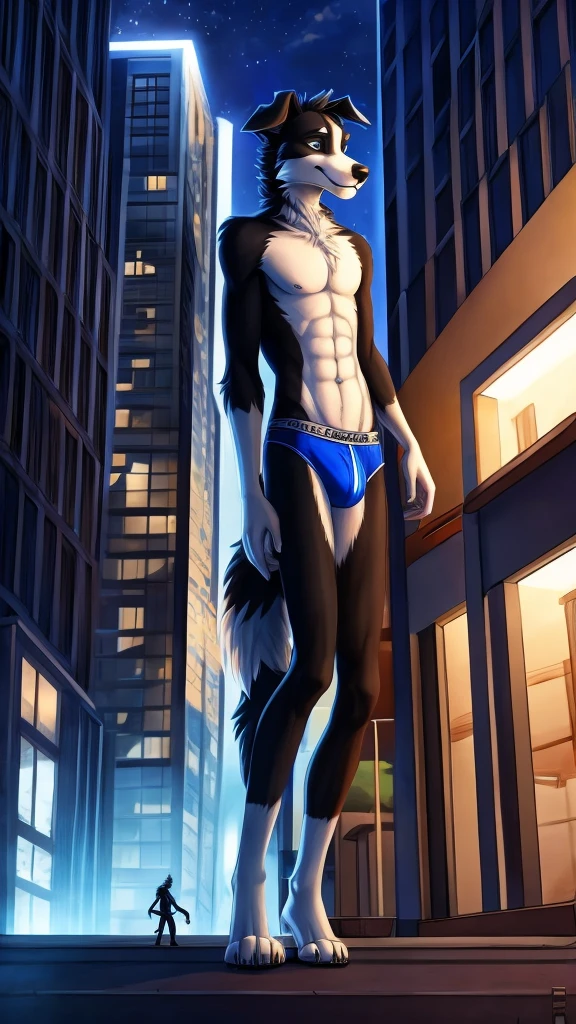 Border collie, Anthro, Furry, Wearing Blue Underwear, Skinny, behind him building And Night, his really tall, Micro Size 
