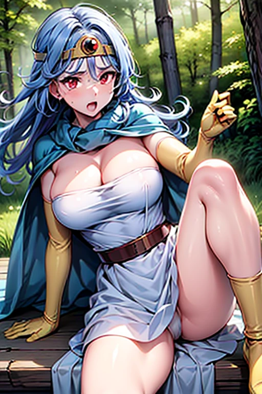 (Very detailed,Highest quality,4K,8K,16K,High resolution,masterpiece:1.2),(Perfect hands,Perfect Legs),(Realistic,photoRealistic,photo-Realistic:1.37),One Woman, Sage, Red eyes, Blue Hair, Long Hair, Ahoge, Circlet, White Dress, gloves, Blue Cape, Yellow footwear Beautifully detailed sweat glands,Smooth skin texture,Carefully drawn,
Lively expressions,(Big Breasts),Sticky with sweat,Use magic,In a dynamic pose,
Dragon Quest,Outdoor,forest