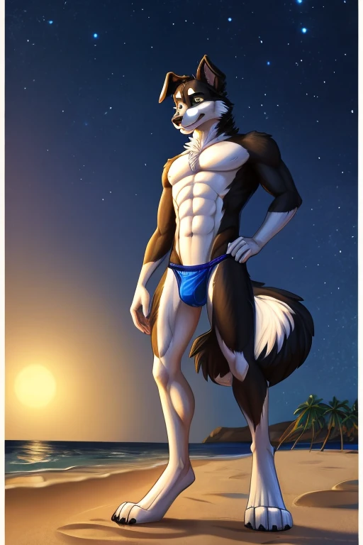 Border collie, Anthro, Furry, Wearing Blue Underwear, Skinny, behind him Beach And Night, his really tall, Macro Size, his 50ft Tall