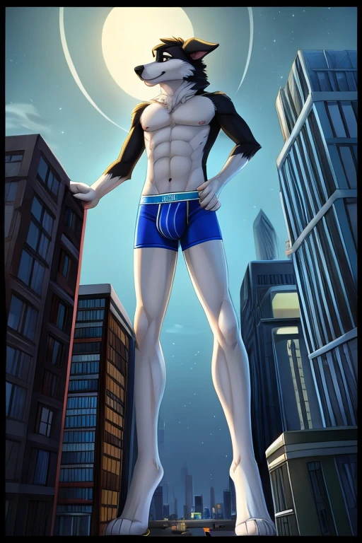 Border collie, Anthro, Furry, Wearing Blue Underwear, Skinny, behind him City And Night, his really tall, Macro Size, his 50ft Tall