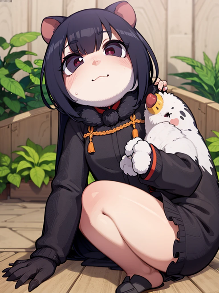 Peruvian Pacara rodent