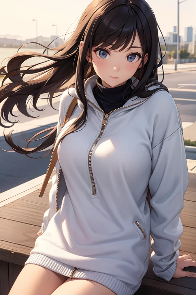 zipper, sweater