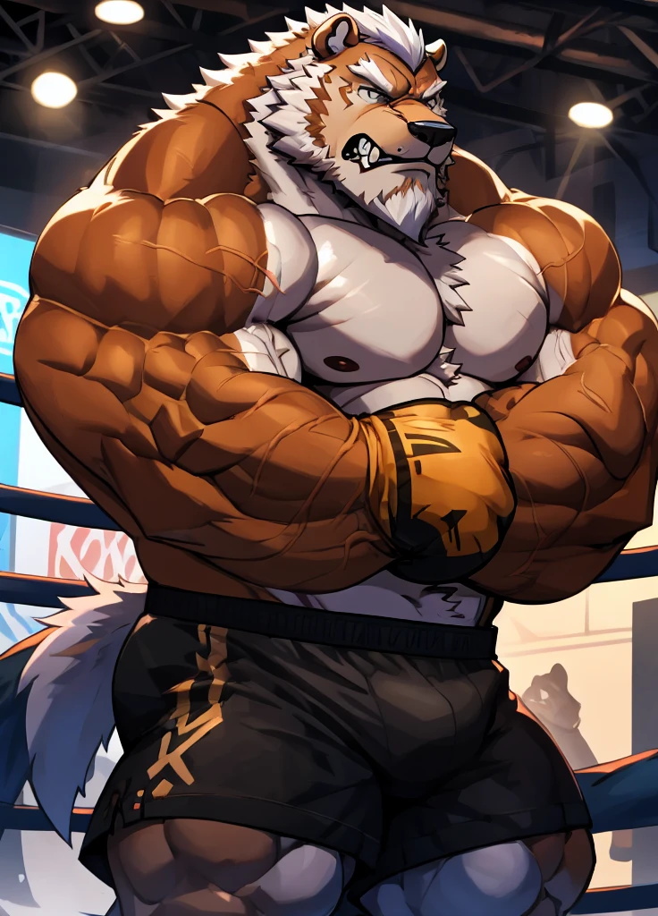 solo, 1boy, Huge Muscular Old Polar arctic Bear wearing glasses , pectoral, huge pectoral, wide pectoral, short white hair, blue boxing short pants, blue boxing gloves and shirtless and topless , white bearded, white Mustache, boxing ring background, masterpiece, high detailed, 8k, high resolution, front side, at the ring flexing victory, veins popping, growling, snarl