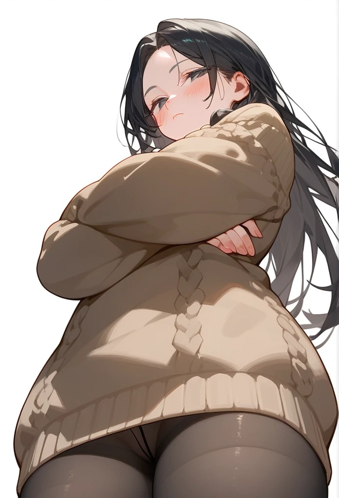 score_9, score_8_up, score_7_up, 1girl, woman, long hair, black hair, parted bangs, light black eyes, small breasts, innexpressive, sweater, Comfortable sleeves, sweater, blushing, narrowed eyes, closed mouth, standing, crossed arms, side view, thigh-high pantyhose, below view, upper body, masterpiece, best quality, white background