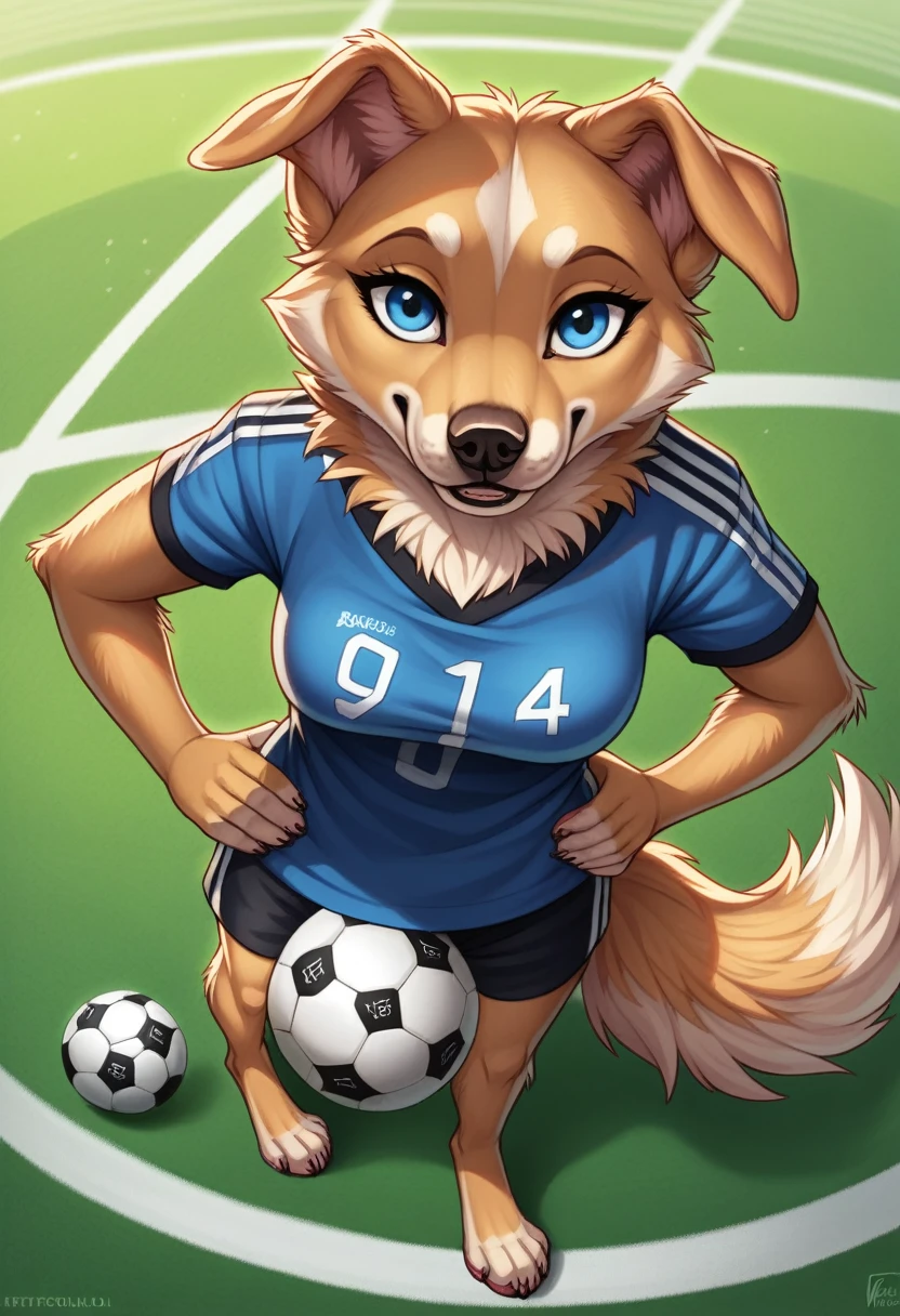 score_9, score_8_above, score_7_above, score_6_above, score_5_above, score_4_above, furry font, High Definition, Masterpiece, Best Quality, Alone, detailed, 5 fingers, detailed Blue eyes, detailed black paboveils,  detailed background, defined body, NSFW, standing on the soccer field, Soccer field background, interacting with the background, detailed body, looking at the viewer, detailed fur, holding soccer ball, T-shirt, Bermuda, hand on hip, affected smile, 
por Marblesoda zabivakaponyxlfemale, Blue eyes, body fur, Dog tail, dog ears,
