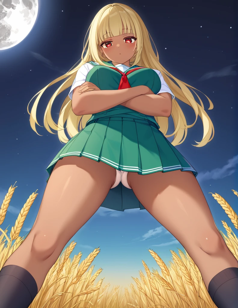 Highest quality, masterpiece, Ultra-high resolution, One girl,
Blonde、Smooth Hair、Two-tone hair、Bobcut、Red Eyes、Sparkling Eyes、Detailed eyes、Slanted Eyes、Tanned, wheat-colored skin、Brown Skin、Chocolate skin、Traditional deep green sailor suit、White socks、loafers、whole body、Low - Angle、Fanning angles、Big Moon、Fantastic scene、Standing with your legs apart、Arms crossed、Confident expression