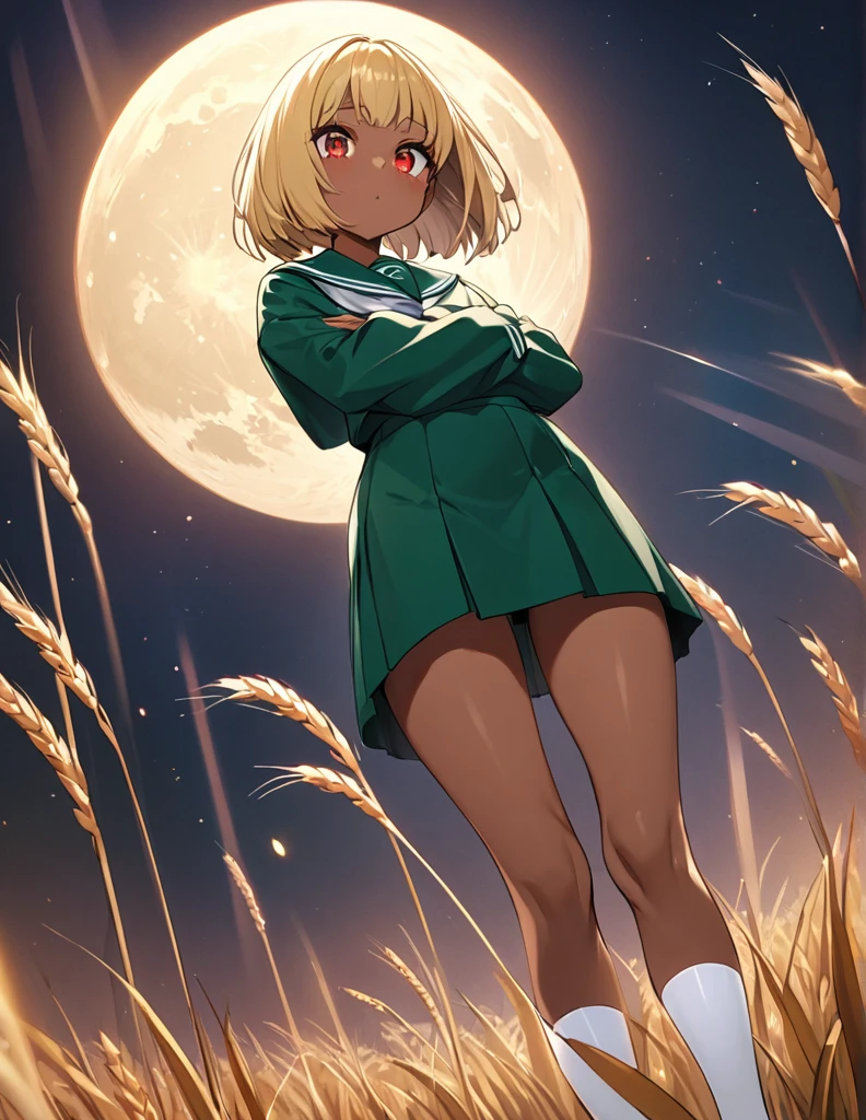 Highest quality, masterpiece, Ultra-high resolution, One girl,

Blonde、Smooth Hair、Two-tone hair、Bobcut、Red Eyes、Sparkling Eyes、Detailed eyes、Slanted Eyes、Tanned, wheat-colored skin、Brown Skin、Chocolate skin、Traditional deep green sailor suit、White socks、loafers、whole body、Low - Angle、Fanning angles、Big Moon、Fantastic scene、Standing with your legs apart、Arms crossed、Confident expression