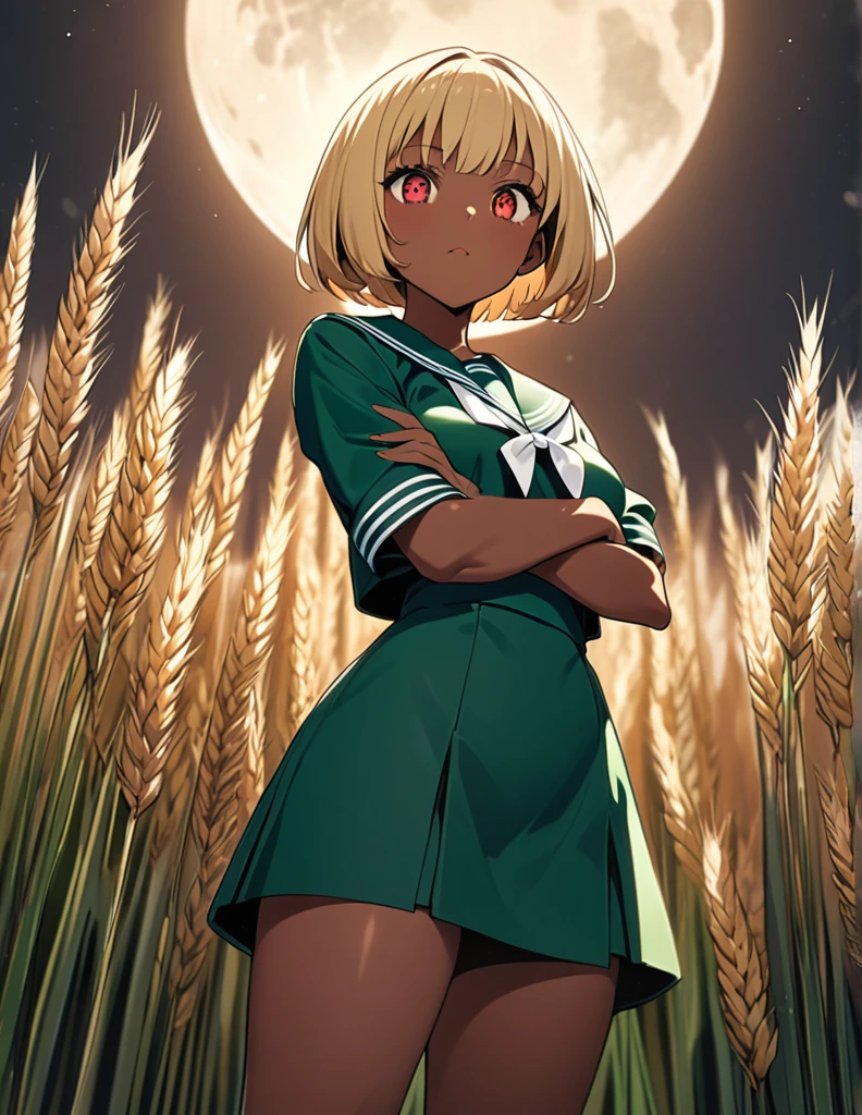 Highest quality, masterpiece, Ultra-high resolution, One girl,
Blonde、Smooth Hair、Two-tone hair、Bobcut、Red Eyes、Sparkling Eyes、Detailed eyes、Slanted Eyes、Tanned, wheat-colored skin、Brown Skin、Chocolate skin、Traditional deep green sailor suit、White socks、loafers、whole body、Low - Angle、Fanning angles、Big Moon、Fantastic scene、Standing with your legs apart、Arms crossed、Confident expression