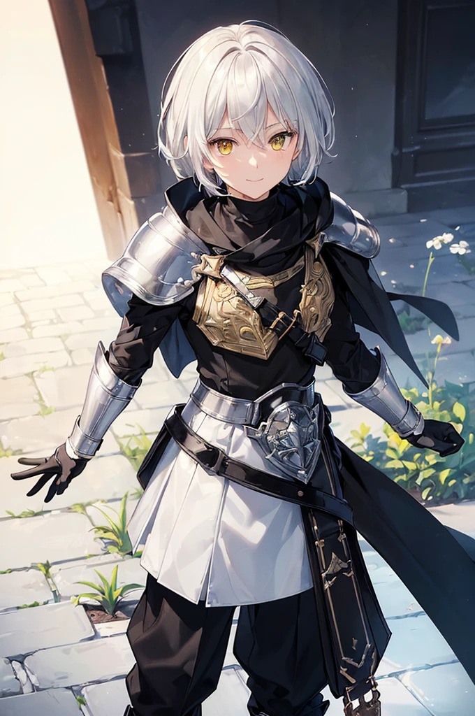 (masterpiece; best quality: 1.2), (finely detailed eyes: 1.3), ((1 male young kid)), ((solo)), (yellow eyes: 1.4), (adorable; short, slender: 1.3), (short white hair: 1.3), (beautiful and clear background: 1.2), ((depth of field)), (clothes: silver armor + black turtleneck + black pants + black cape + black gloves + satchel: 1.3), (anime illustration: 1.2), (background; garden exterior: 1.1), (extremely fine and handsome: 1.1), (shot composition; standing + close-up: 1.5), (expression; calm, smile: 1.2)