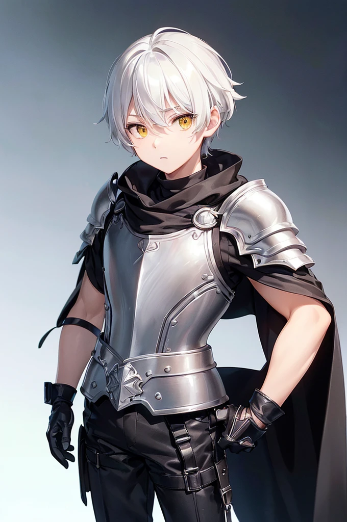 (masterpiece; best quality: 1.2), (finely detailed eyes: 1.3), ((1 male young ???)), ((solo)), (yellow eyes: 1.4), (adorable; short, slender: 1.3), (short white hair: 1.3), (beautiful and clear background: 1.2), ((depth of field)), (clothes: silver armor + black turtleneck + black pants + black cape + black gloves + satchel on side + greaves: 1.3), (anime illustration: 1.2), (background; garden exterior: 1.1), (extremely fine and handsome: 1.1), (shot composition; standing + close-up: 1.5), (expression; calm, stoic: 1.2)