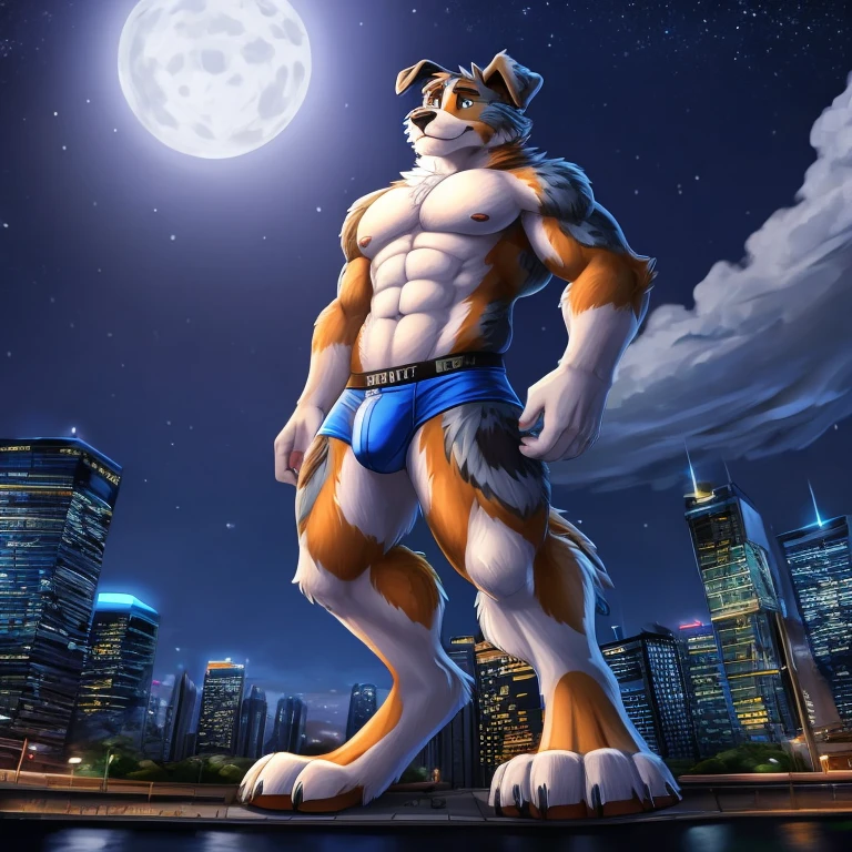 Australian Shepherd, Anthro, Furry, Wearing Blue Underwear, Buff, behind him City And Night, his really tall, Macro Size,